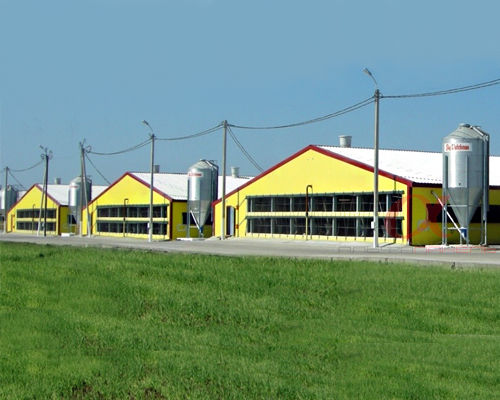 птичник